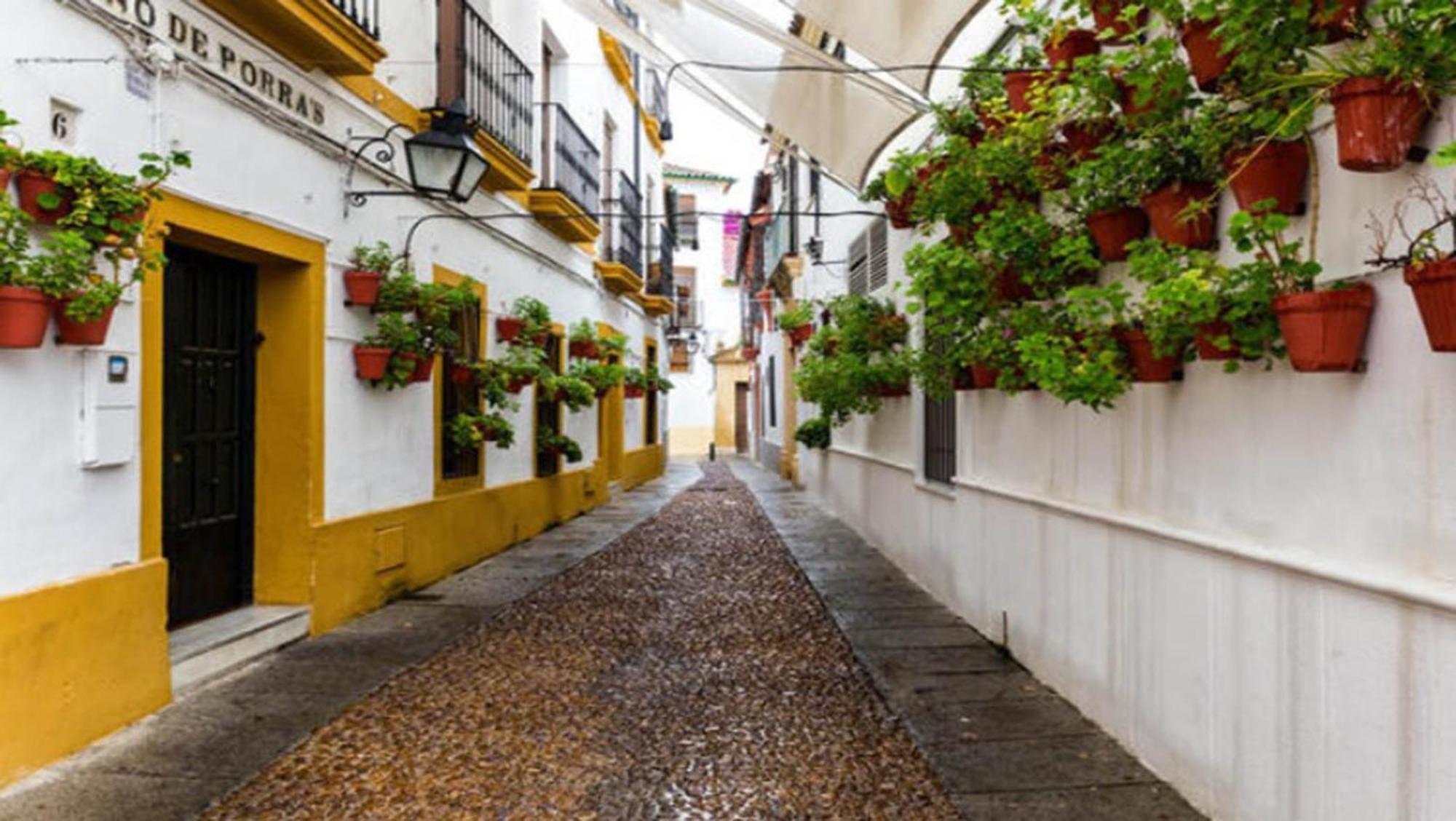 Zahra - Terraza Centro Cordoba Appartement Buitenkant foto